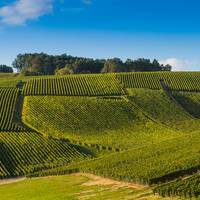 Champagne Wine Tours 2026 & 2027